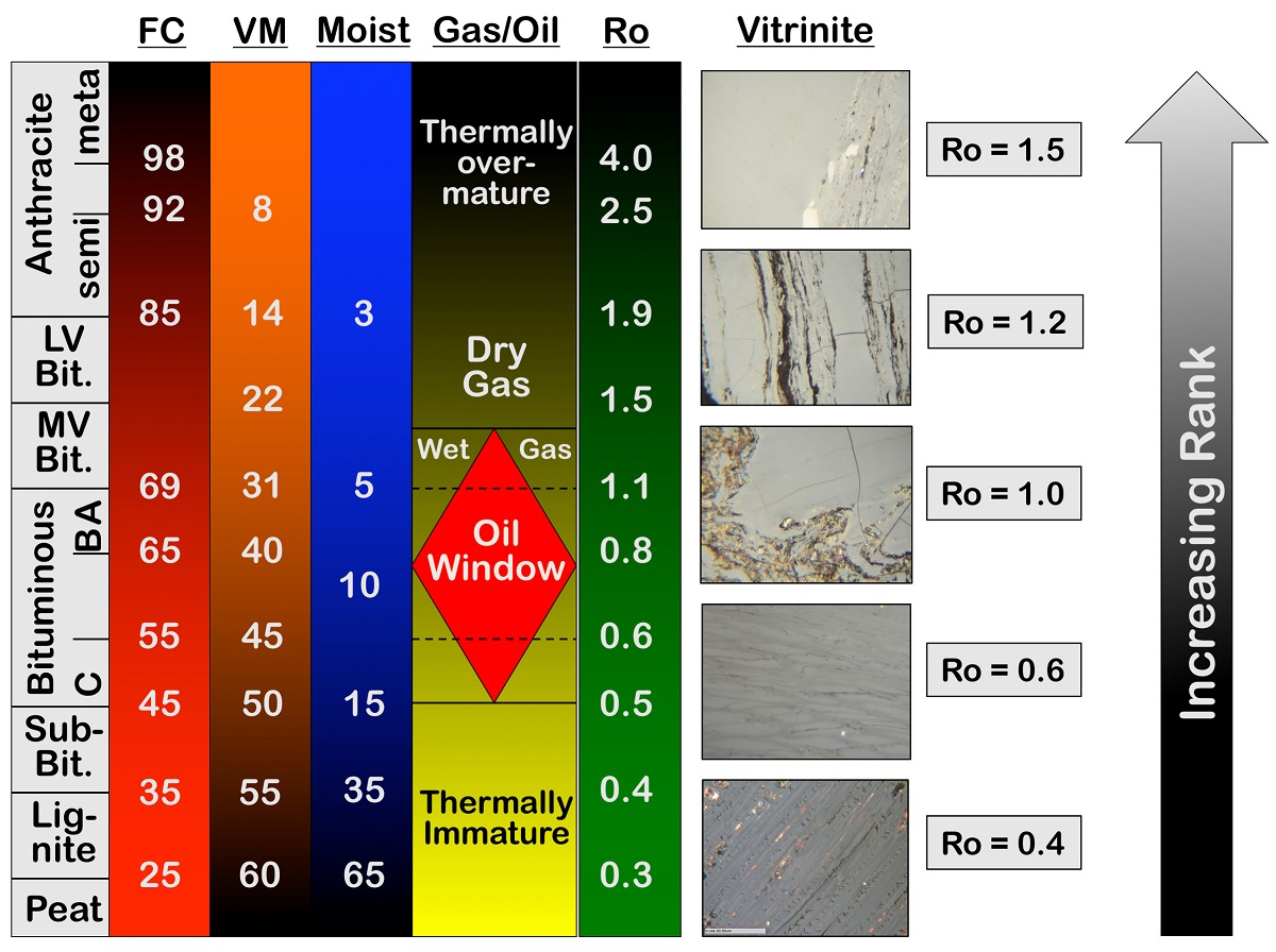 Microscopic measurement of the relative reflectance of vitrinite macerals (Ro) compared to coal rank, fixed carbon (FC), volatile matter (VM), moisture (M), and gas and oil generation